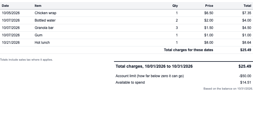 Statement showing only the new charges for the month